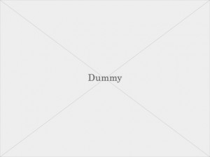 dummy